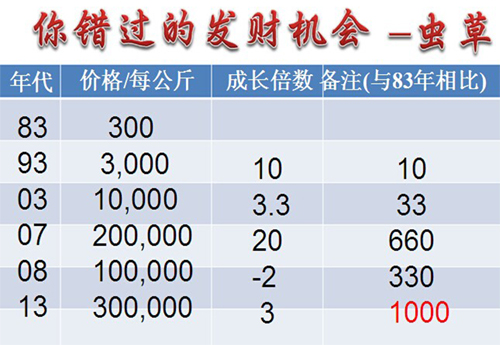 牛樟芝价格 台湾牛樟芝价格 台湾牛樟芝价格多少 台湾牛樟芝胶囊价格 2014虫草价格