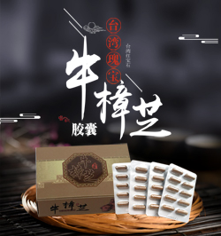 牛樟菇胶囊