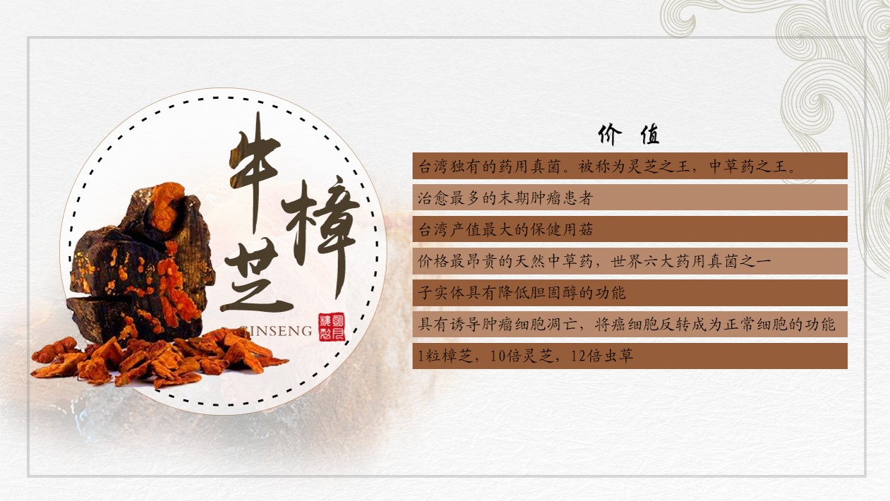 台湾牛樟芝野生牛樟芝牛樟菇功效与作用
