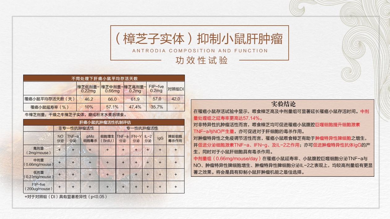 牛樟芝牛樟菇动物实验