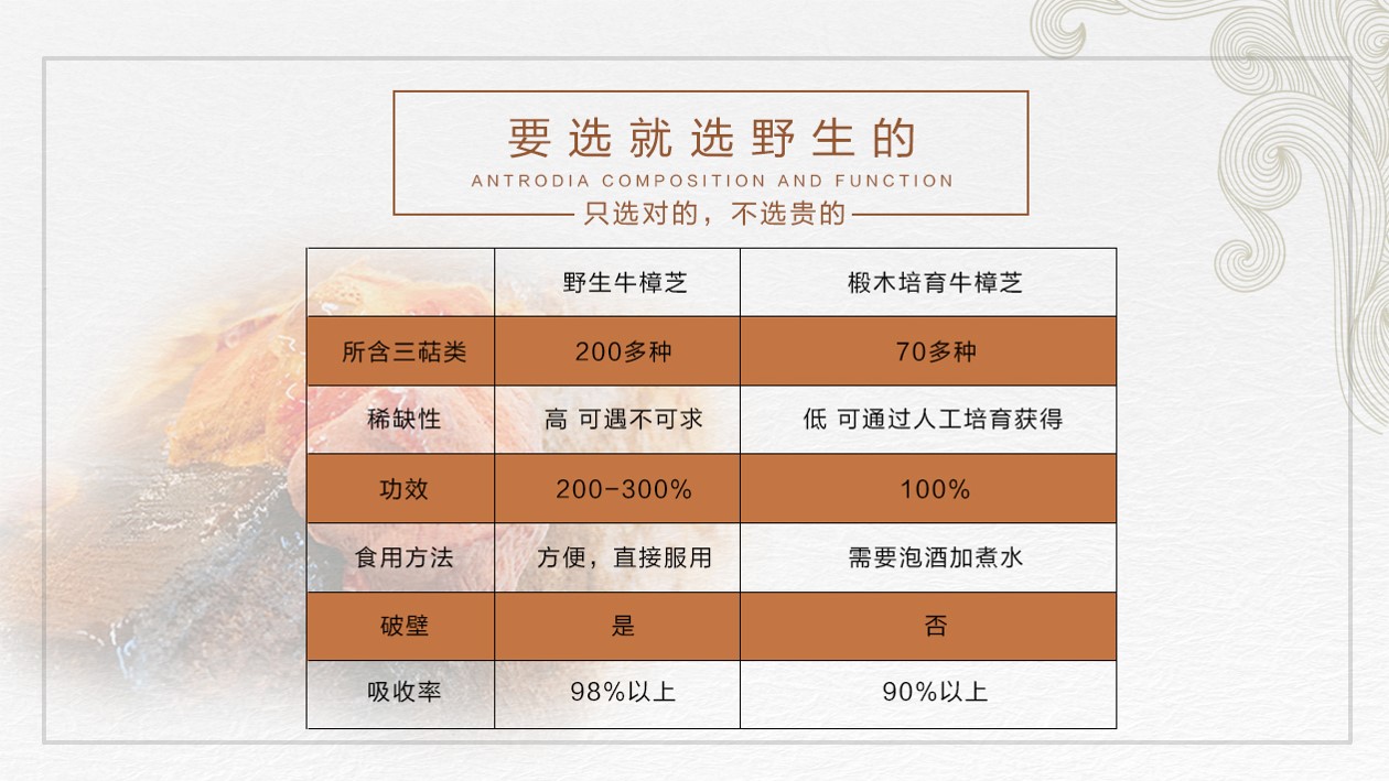 野生牛樟芝 牛樟菇